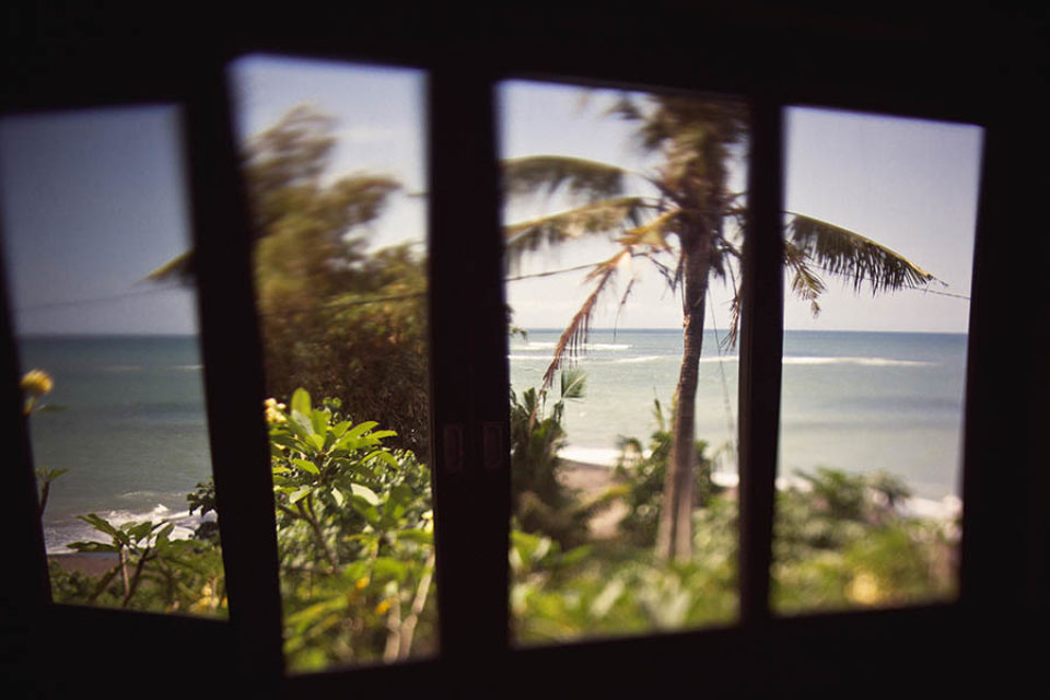Blurred seaside landscape palm trees