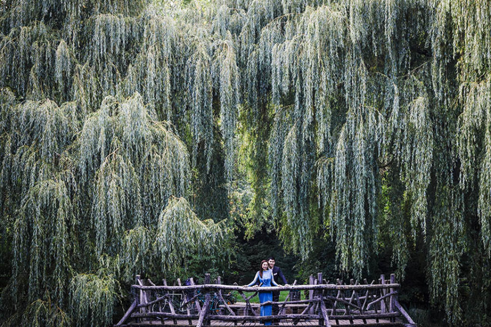 Couple surrounded by weeping willows