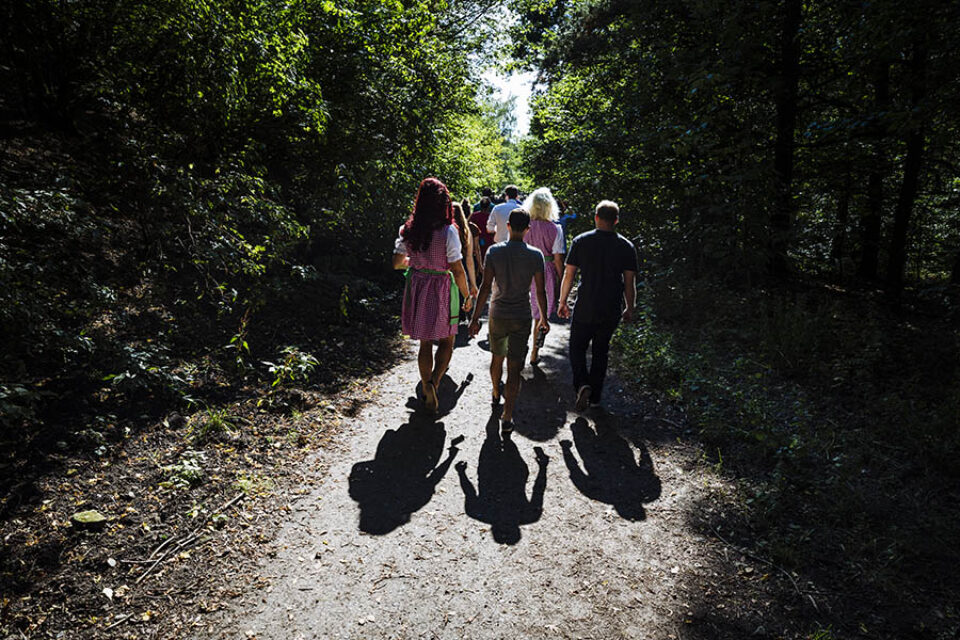 Wedding party in forest