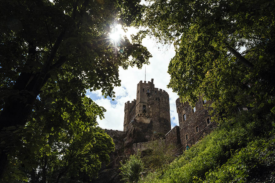 Burg Rheinstein Wedding Photographer - Burg Rheinstein through leaves