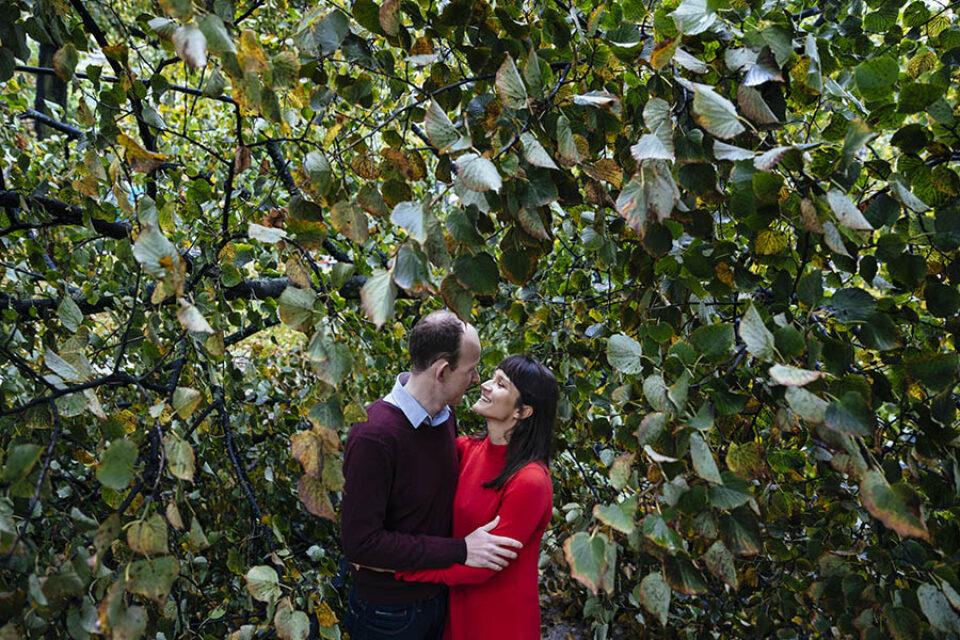 Couple portrait in fallen tree leaves