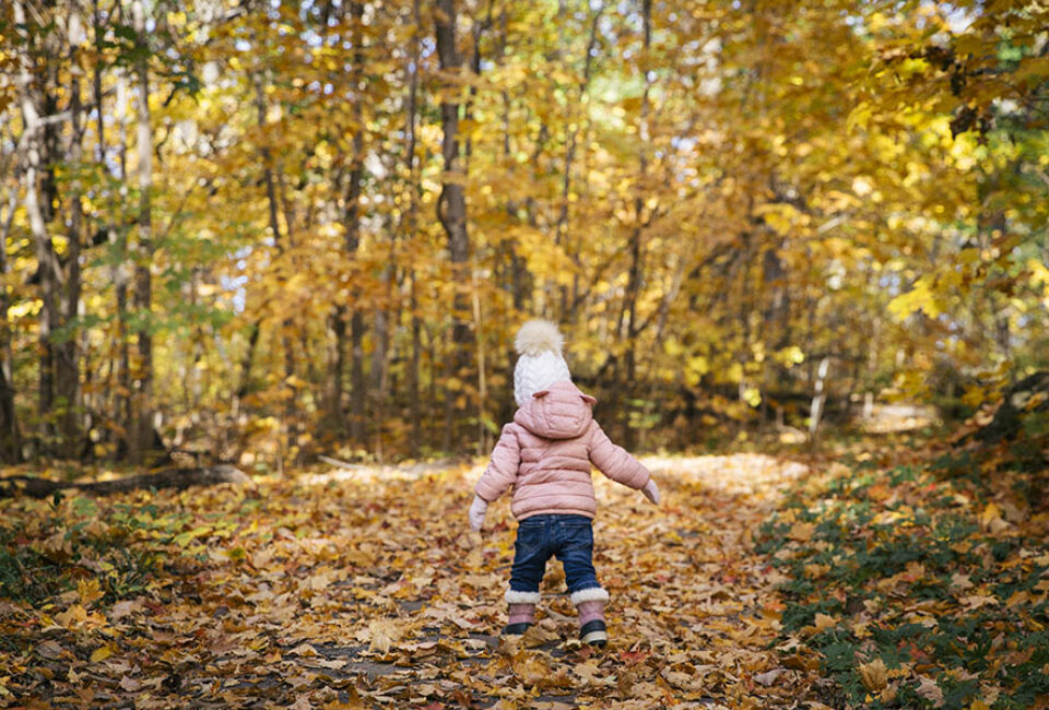 Toddler walking, woods in Fall