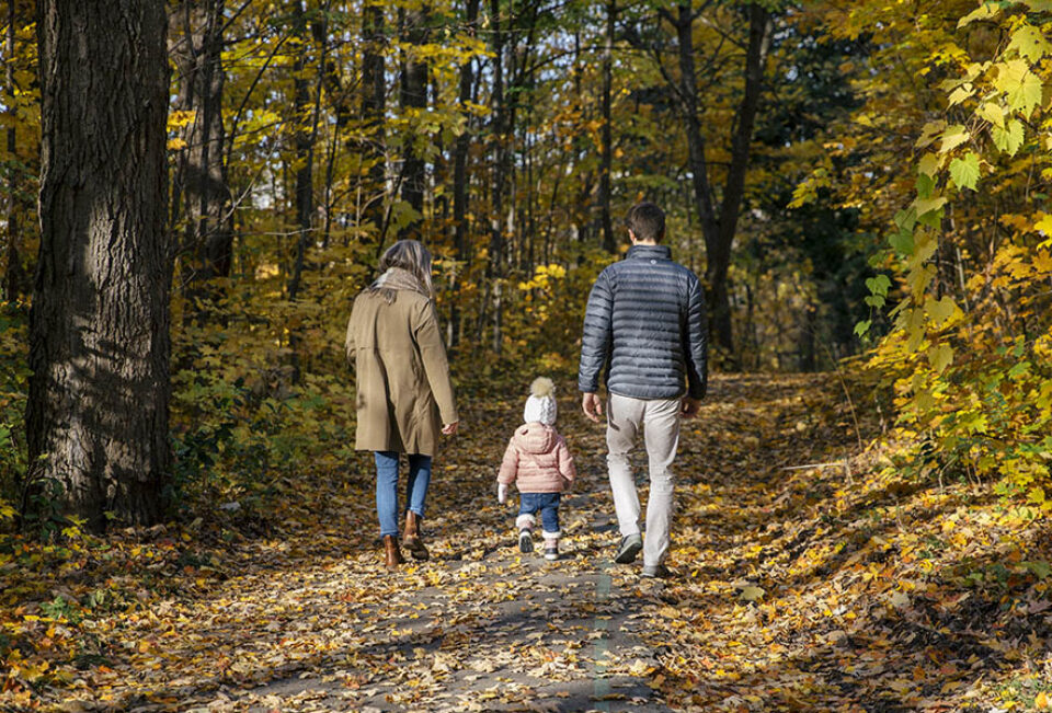 Family on forest path, autumn