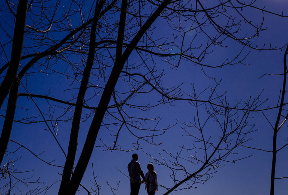 Couple silhouette with trees